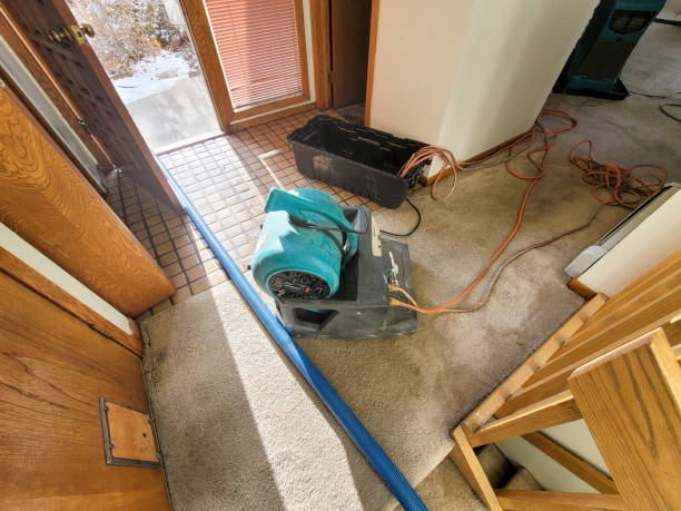 Water damage restoration experts in OK