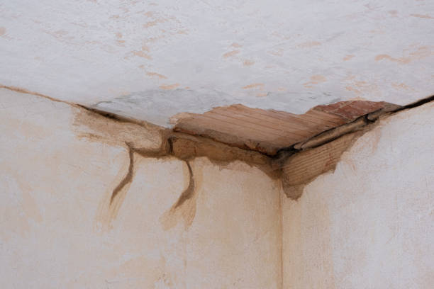 Best 24/7 water damage repair  in Stilwell, OK