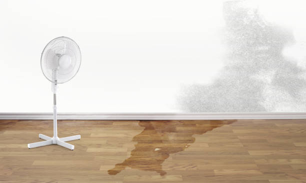 Best Flood damage cleanup  in Stilwell, OK