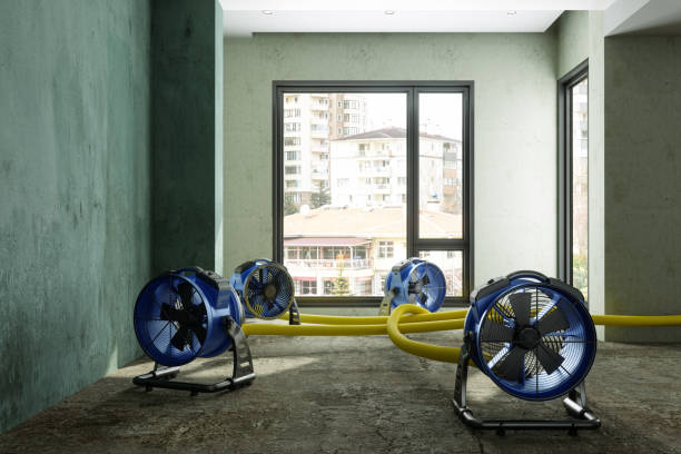Best Commercial water damage restoration  in Stilwell, OK