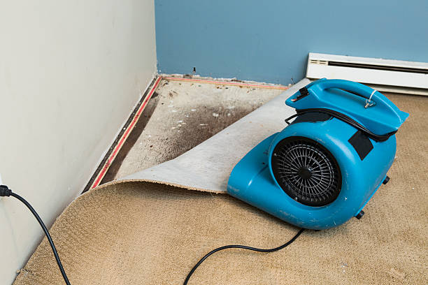 Best Local water damage restoration  in Stilwell, OK